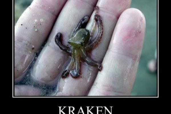 Kraken 18at