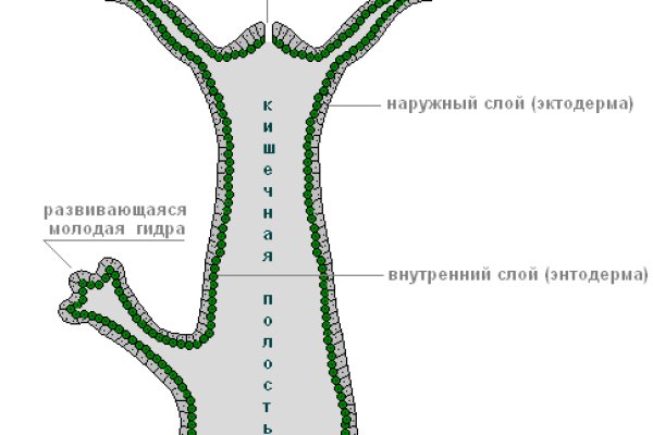 Kraken это современный маркетплейс